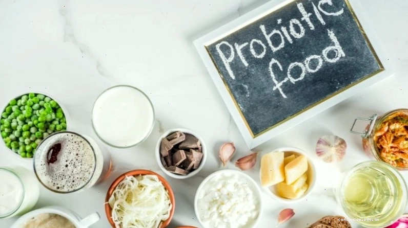 Probiotics giúp cân bằng hệ vi sinh vật âm đạo