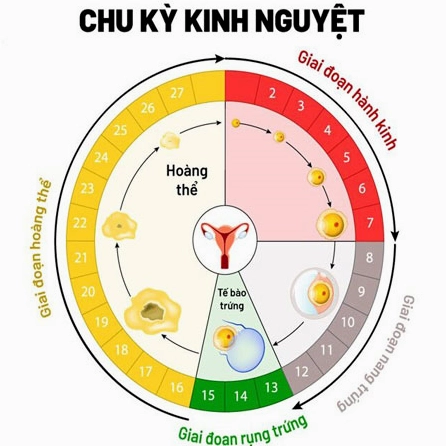 Quan hệ trước 7 ngày có kinh nguyệt có thai không? Lời giải từ chuyên gia