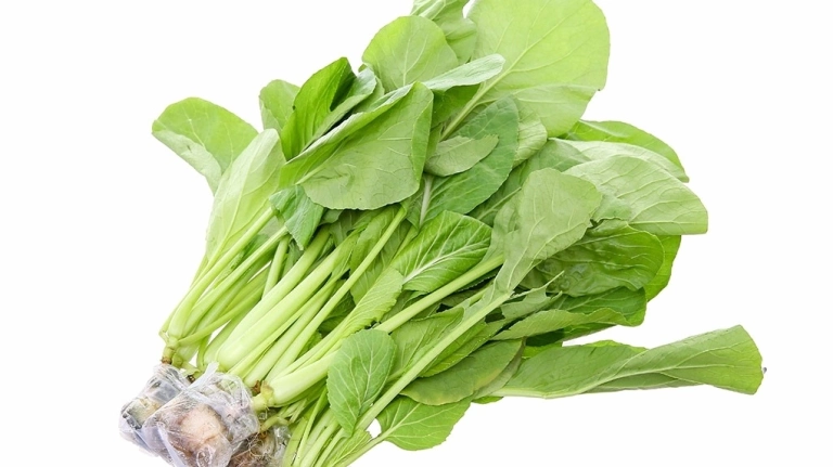 Rau cải ngọt bổ dưỡng sức khỏe và các món ngon hấp dẫn
