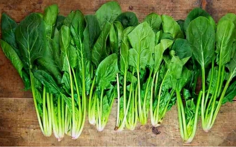 Rau chân vịt có chứa nhiều dưỡng chất thiết yếu cho cơ thể
