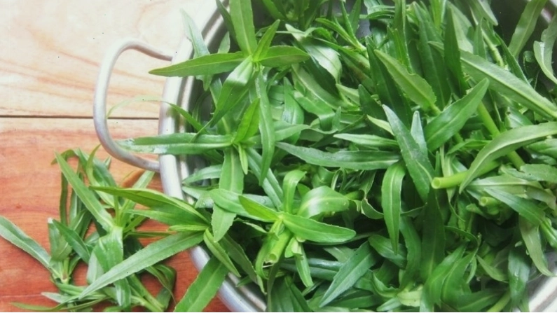 Rau ngổ chứa nhiều dưỡng chất như vitamin B, vitamin C, caroten tốt cho sức khỏe