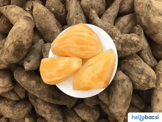 Sâm Đất: Khám phá công dụng tuyệt vời và cách sử dụng hiệu quả