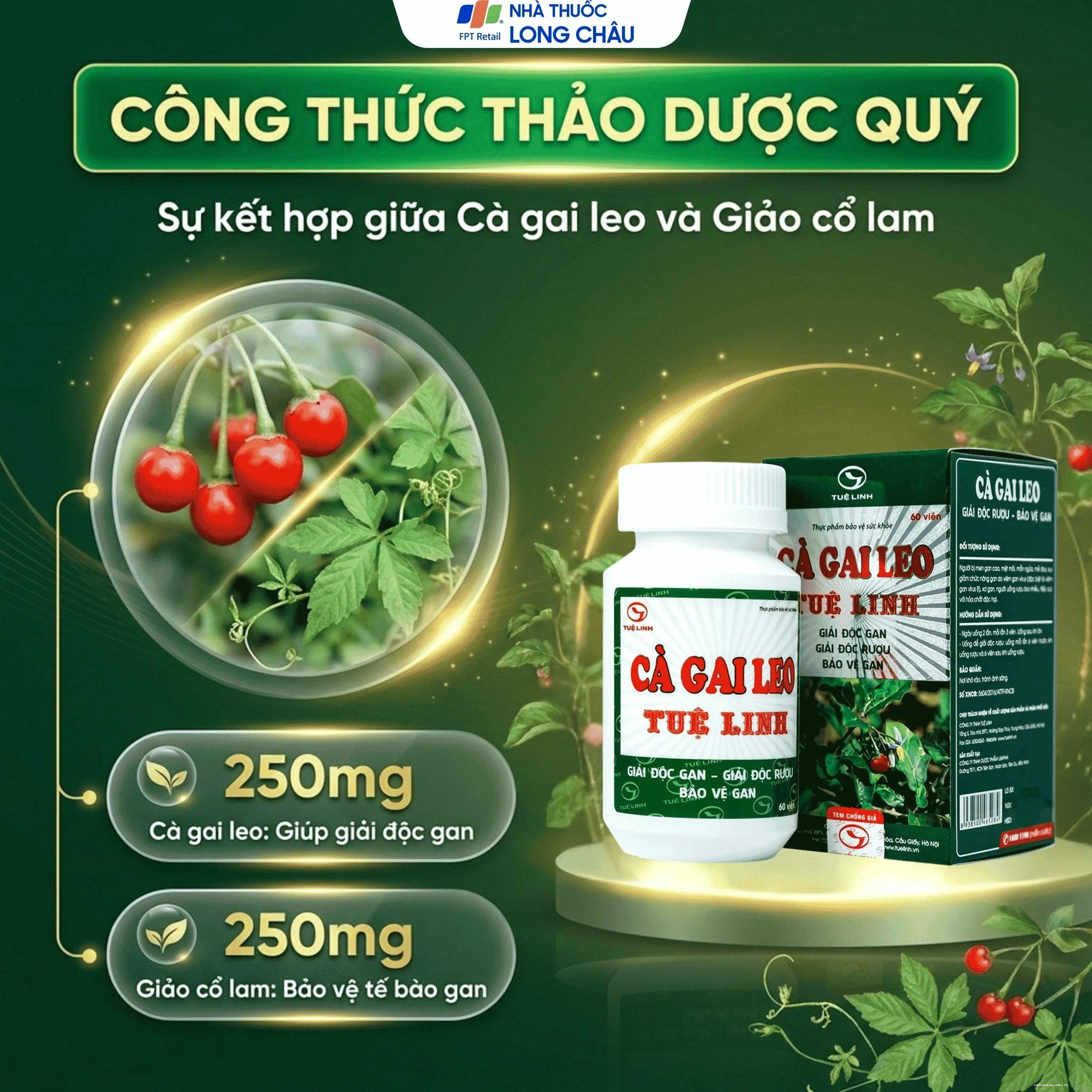 Sản phẩm Viên tăng cường chức năng giải độc của gan Cà Gai Leo Tuệ Linh