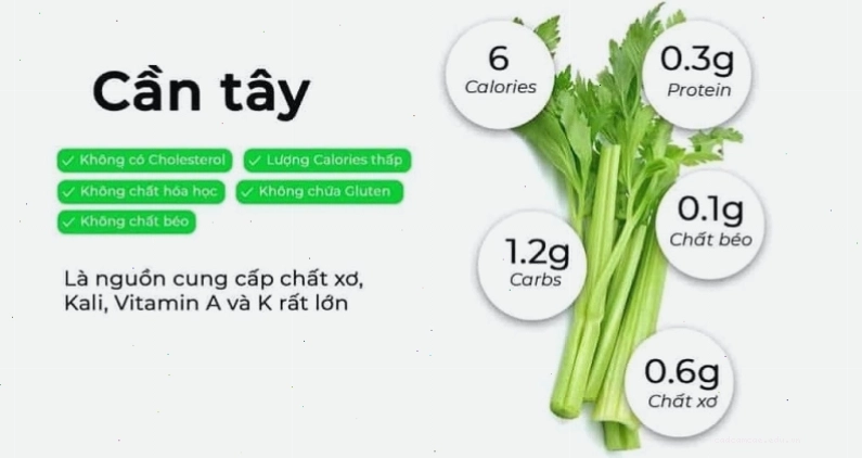 Thành phần dinh dưỡng dồi dào có trong rau cần tây
