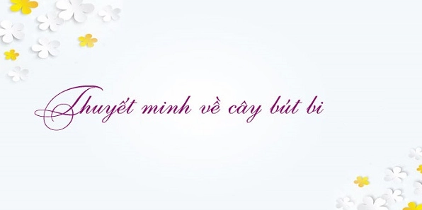 Thuyết minh về cây bút bi hành trình và ý nghĩa