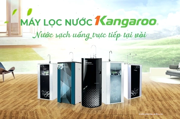 Tổng quan về máy lọc nước RO Kangaroo