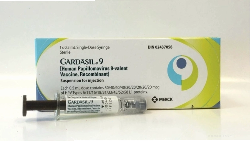 Vắc xin HPV là gì? Tác dụng, đối tượng và giá tiêm HPV