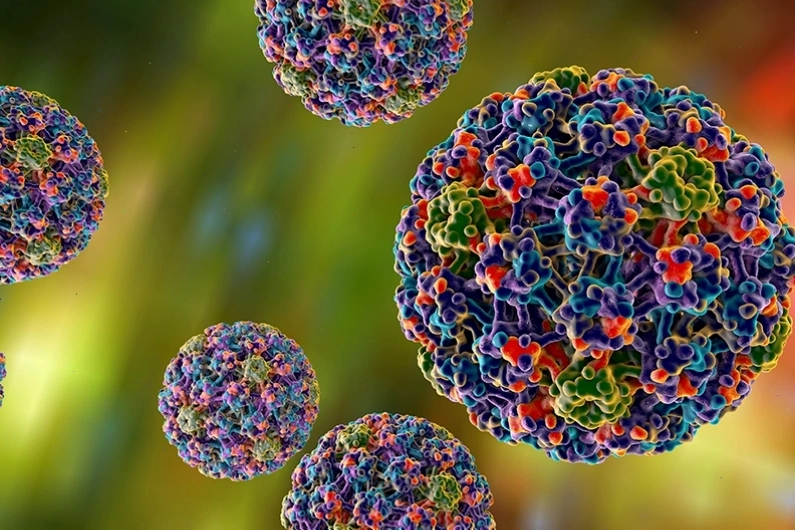 Virus HPV là tác nhân chính gây ra mụn cóc
