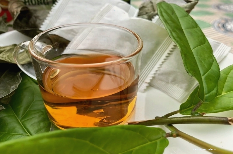 Xạ đen có thể sắc nước hoặc hãm trà để uống hàng ngày